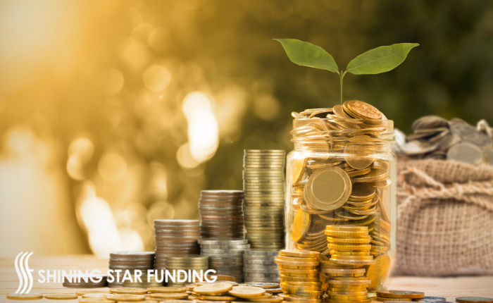 Credit, Income, DTI, Rental History, and Non-Occupant Borrowers