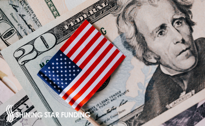 How Does the NMLS Work?​